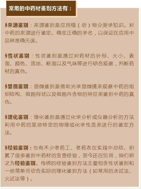 黄色网站