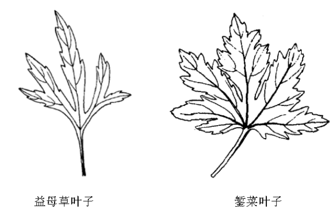 黄色网站
