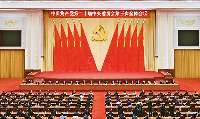 黄色网站