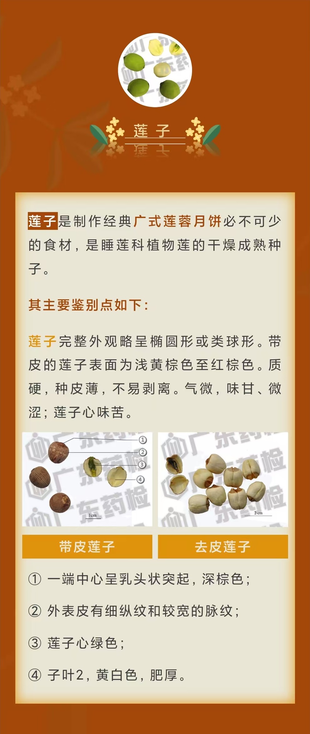 黄色网站