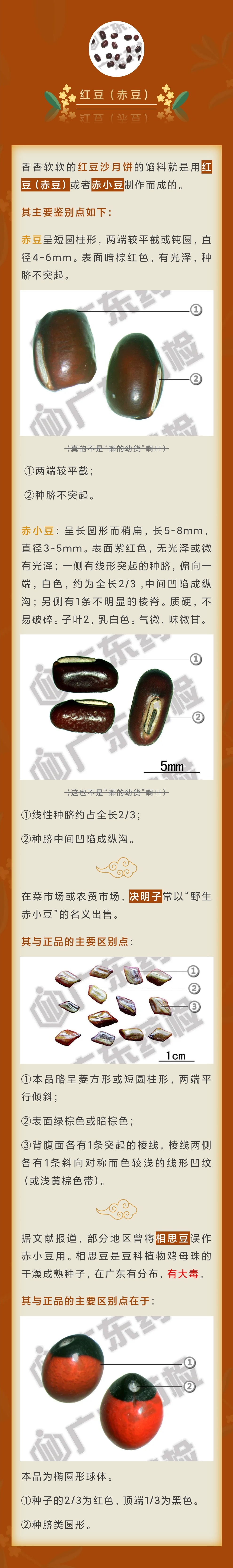 黄色网站