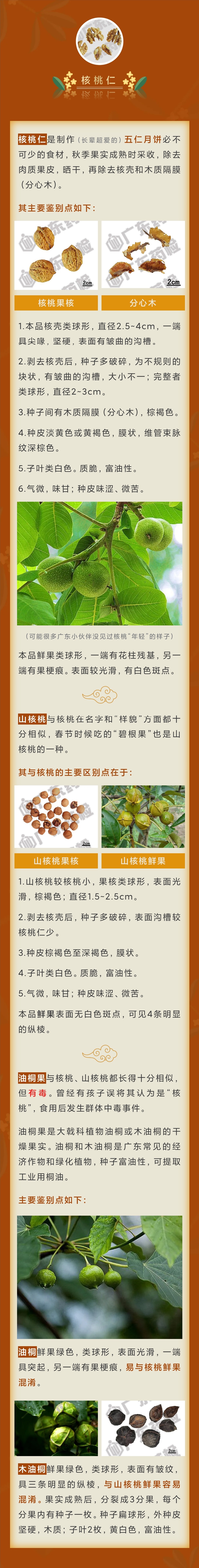 黄色网站