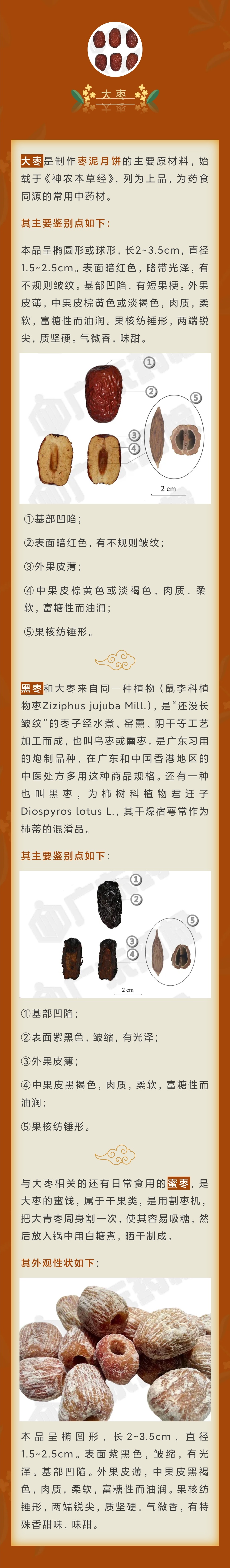黄色网站