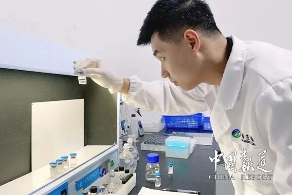 黄色网站